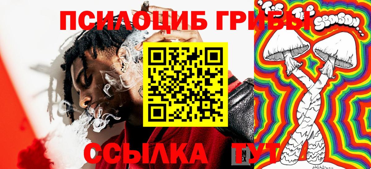 Арзамас  Галлюциногенные грибы мухоморы  Вход с VPN  Псилоцибиновые грибы Cubensis 