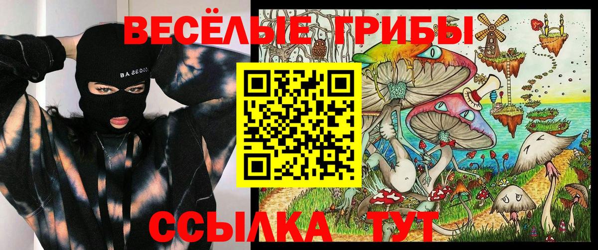 Галлюциногенные грибы мицелий Арзамас
